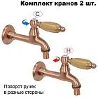 Дуб